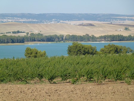 Basilikata Lago S Giuliano
