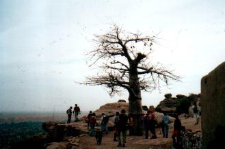Mali Dogon Dorf Banani