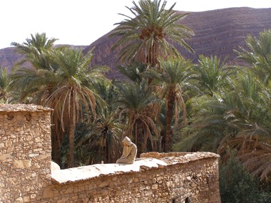 Marokko  Esmougi  Mosche