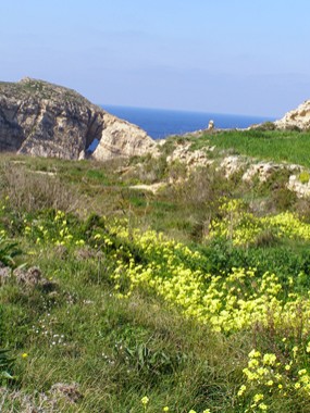 Malta, Gozo: bei Dwejra Point