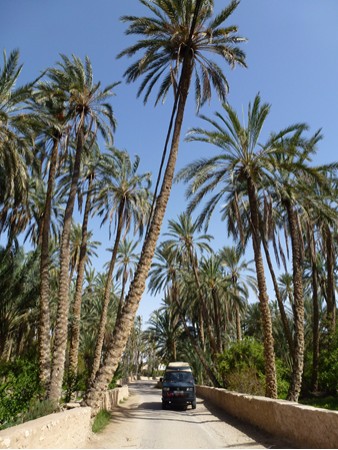 Tunesien  Mides
