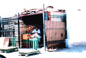 Albanien bei Shkodra: Zwiebelverkufer